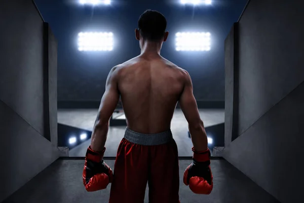 Boxer standing on boxing arena entrance