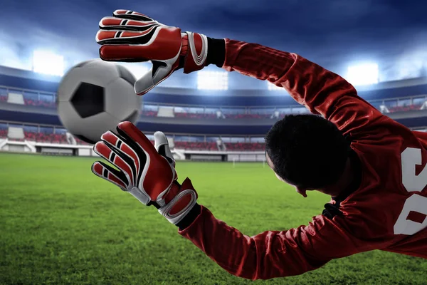 Futbol kalecisi topu yakalıyor.