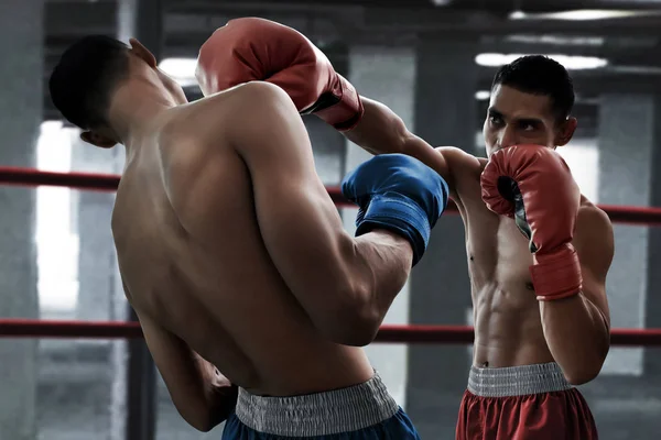 Два Боксери Борються Рингу — стокове фото