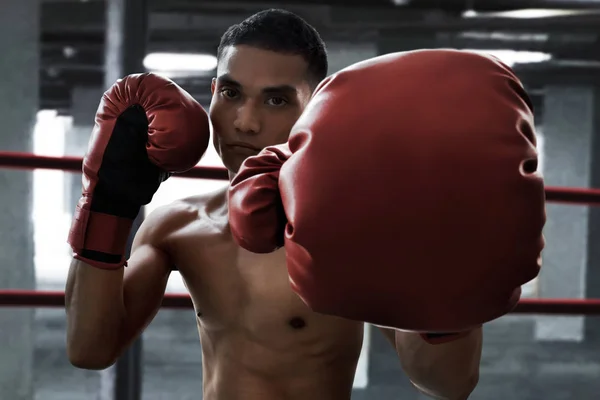 Boxeador Atleta Entrenamiento Gimnasio — Foto de Stock