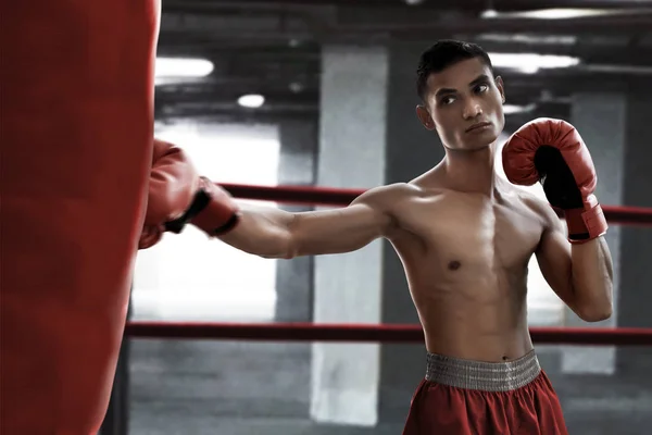 Entrenamiento Boxeador Con Saco Boxeo —  Fotos de Stock