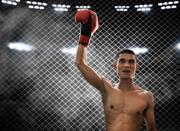 Boxeador Ganando Partido — Foto de Stock