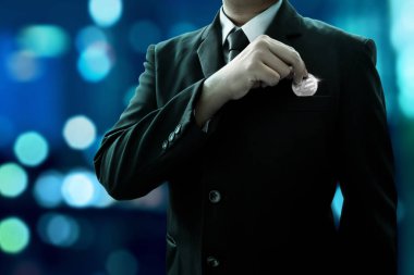 İşadamı holding gümüş litecoin