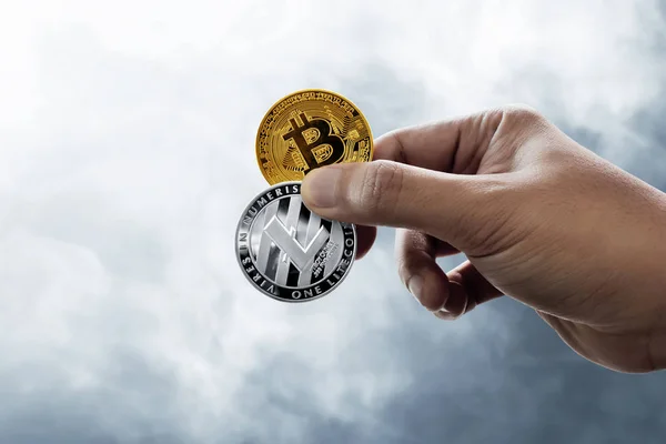 Monete Bitcoin Litecoin Mano — Foto Stock