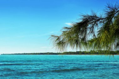 Güzel plaj gün arka plan