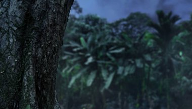 ormandaki yaşlı ağaç