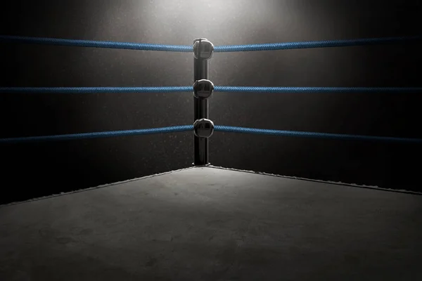 Вид Професійного Боксерського Кільця — стокове фото