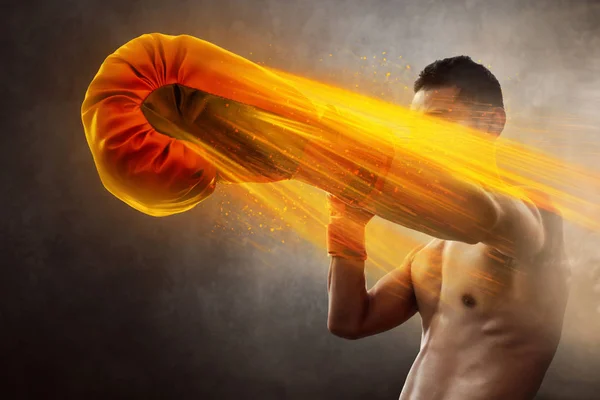 Erkek boxer Delme eğitim