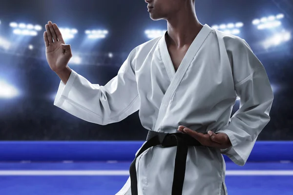 Karate Luchador Artes Marciales Arena — Foto de Stock