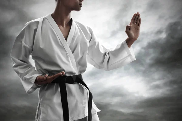 Karate Martial Arts Fighter Training — Stock Photo, Image