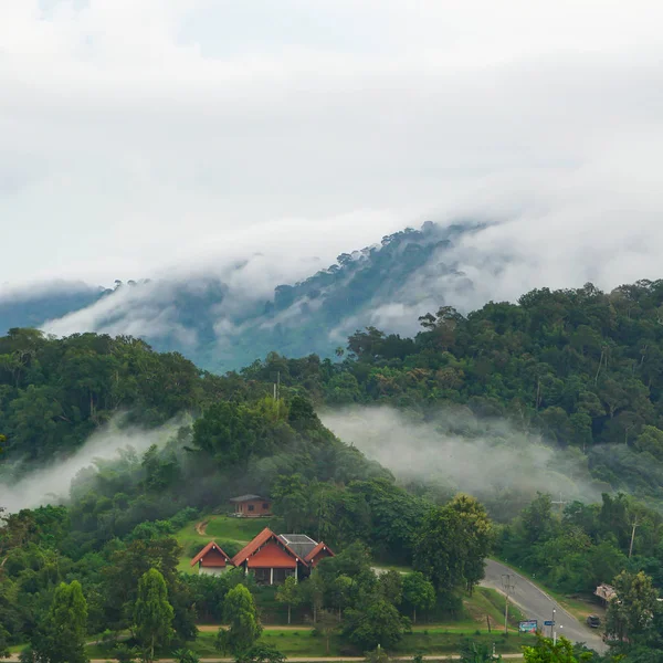 House in the mountains Morning fog cover the trees cool.