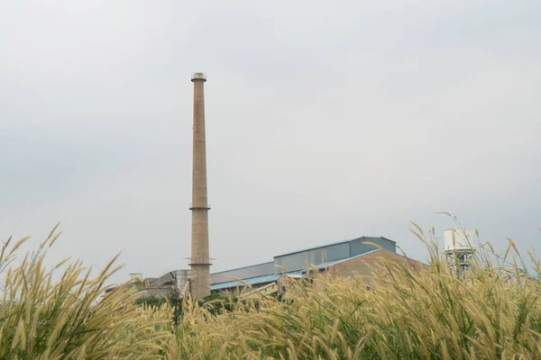 Crate of rice mill Smoke from the rice paddy.