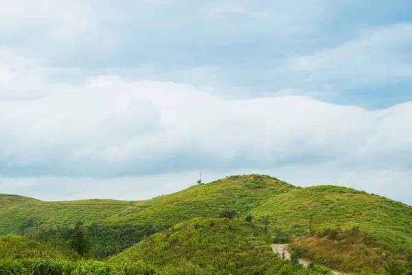 山和森林在早晨 早晨在夏日温暖的空气中日出 — 图库照片