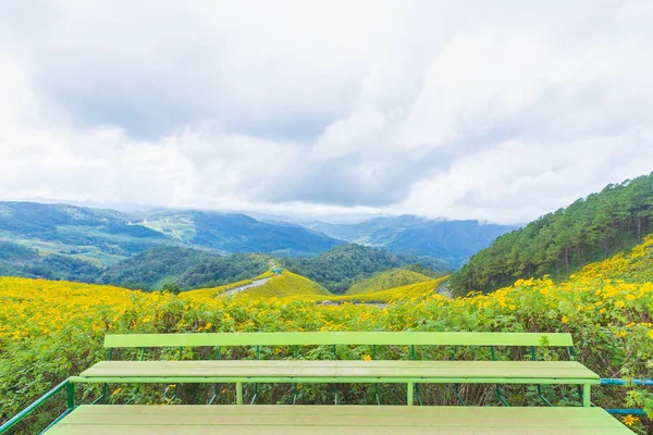 Stan of view point yellow flower and mountain. — Stock Photo, Image