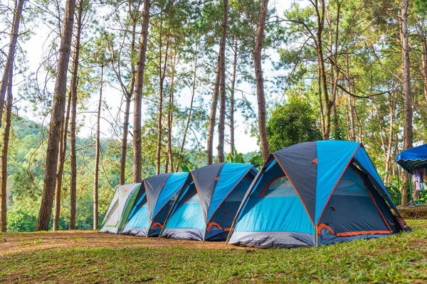 Tenda de acampamento na grama — Fotografia de Stock
