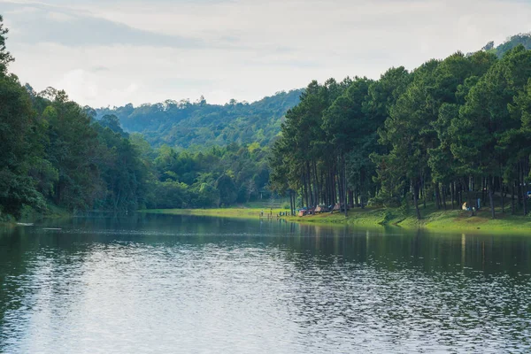 Bosque y embalse — Foto de Stock