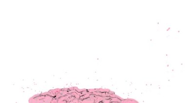 ekranda renkli sıçraması