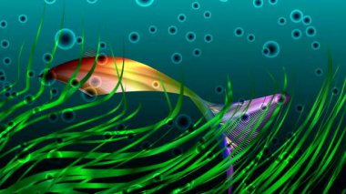 Renkli Daireler dans üstünde belgili tanımlık perde