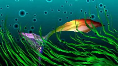 ekran renkli topları dans