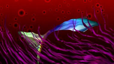 ekran renkli topları dans