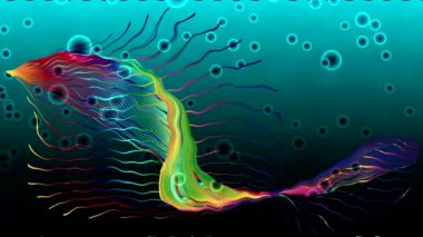 ekran renkli topları dans