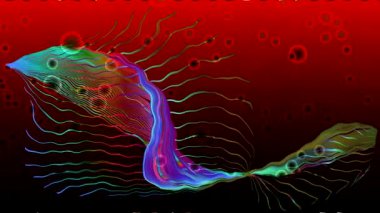 ekran renkli topları dans