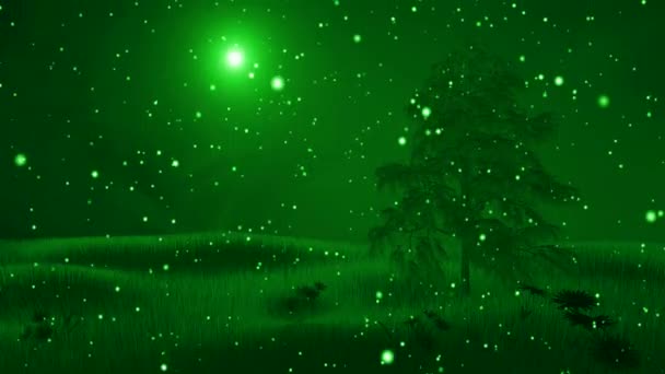 Tanz Der Weißen Schneeflocken Auf Der Leinwand — Stockvideo