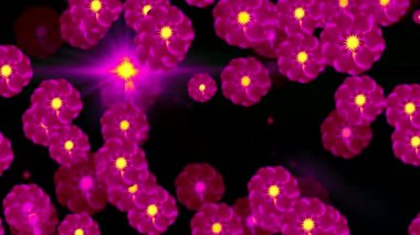 çiçekler ekranda desenler çizmek