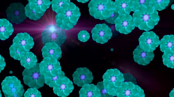 fleurs dessinent des motifs à l'écran 