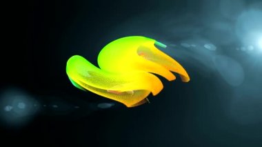 ekranda renkli şekiller dans