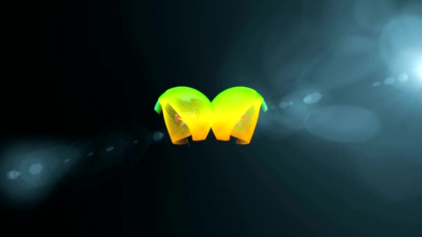 danse de figures colorées sur l'écran 