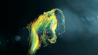 ekranda şenlikli havai fişek çiçek dans