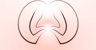 ekranda renk desenleri çizme