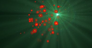 ekran ekranında gül çiçeklerinin uçuşu