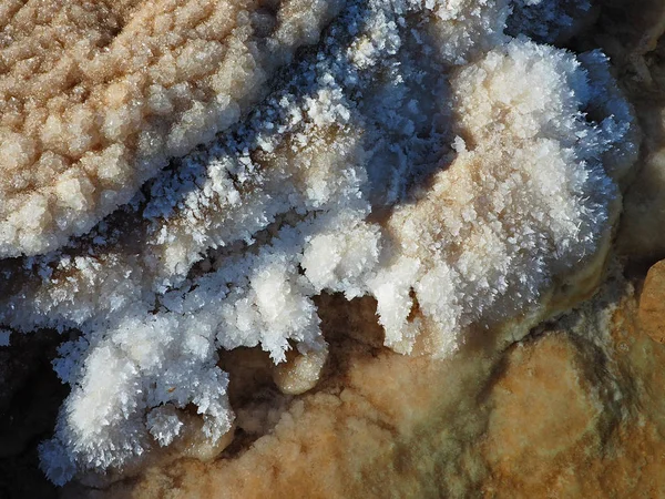 死海の塩の堆積物 — ストック写真