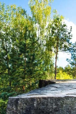 Kariyer Gölü arka plan üzerinde izole kaya.