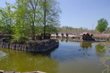 Orman fauna agricultureforest fauna tarım tilki