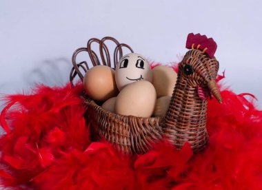 Yumurta farklı, beyaz, renkli, benekli tavuk, yumurta, bıldırcın, farklı renk, gıda, gıda olarak değerli bir ürün olarak yeni bir hayata doğuşu olarak olarak benekli