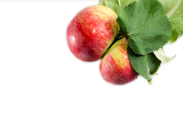 Deux Pommes Mûres Sur Fond Blanc — Photo