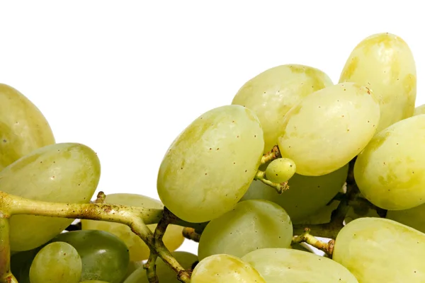 Bos Van Witte Druiven Een Witte Achtergrond — Stockfoto