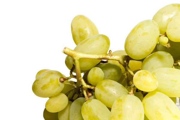 Ramo Uvas Blancas Sobre Fondo Blanco —  Fotos de Stock