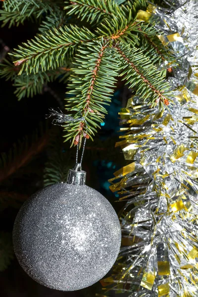 Branch spruce close up — Stock Photo, Image