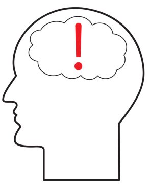 İnsan kafasının kontur