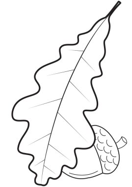 Beyaz bir arka planda bir meşe yaprağı ve palamut bir kontur Illustration