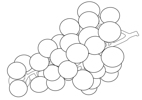 포도 의 무리의 개요 — 스톡 벡터