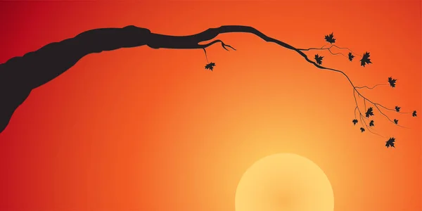 Silhueta de um ramo de árvore no pôr-do-sol — Vetor de Stock