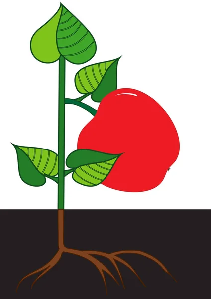Illustration Une Pomme Mûre Petit Arbre — Image vectorielle