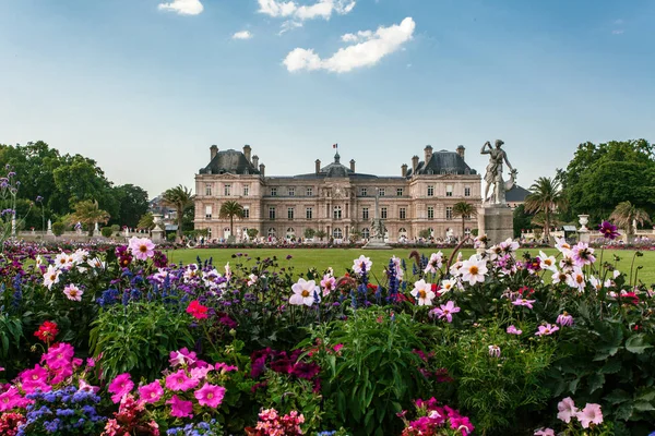 Luxembourg Park Flowers Paris Summer — Stock Photo, Image