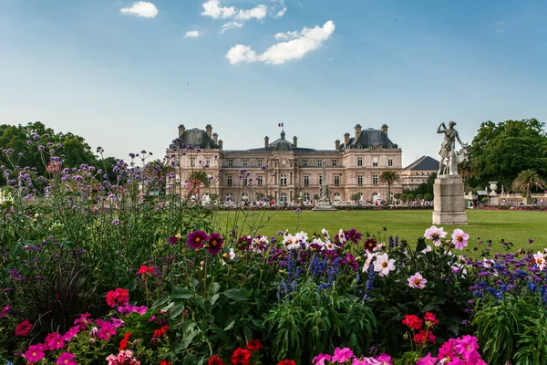 Luxembourg Park Flowers Paris Summer — Stock Photo, Image