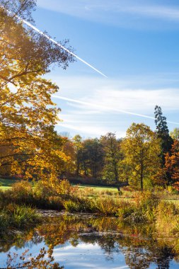 Altın Sonbahar, sarı yapraklar, Petergof Ekim, Alexandria park